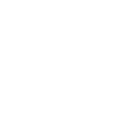 Professionals lightbulb icon
